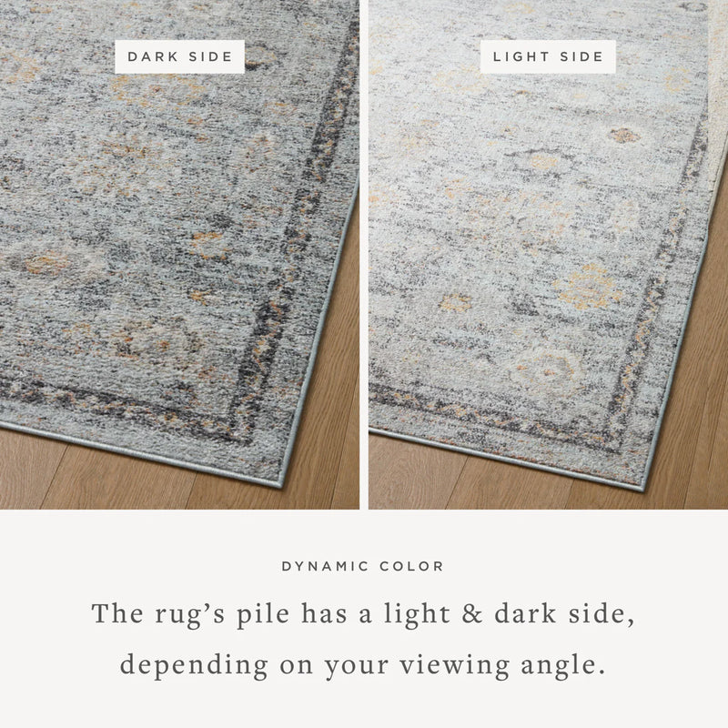 Loloi II Area Rug 7'10" x 10' in Sky and Gold (MON-04)