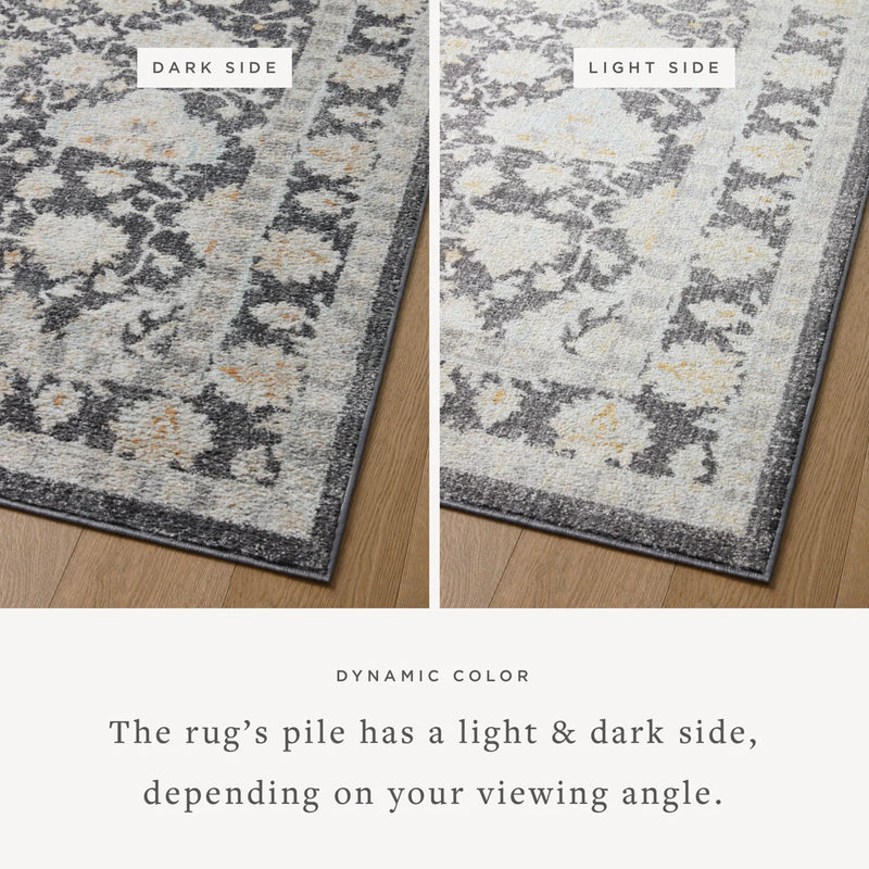 Loloi II Area Rug 6' 7" x 9' 3" in Charcoal and Natural (MON-05)