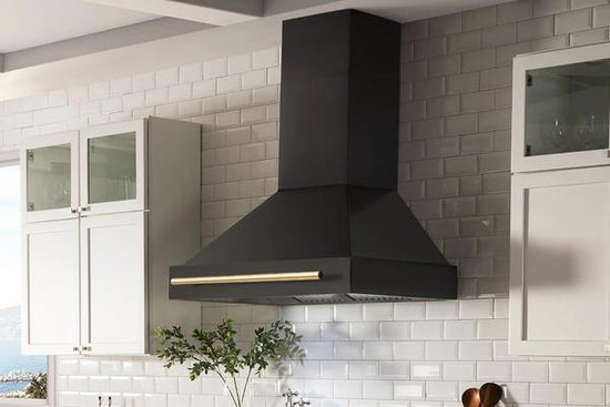 ZLINE 48 Autograph Edition Black Stainless Steel Range Hood with Gold -  HouseTie