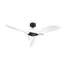Parrot Uncle 54-Inch DC Motor 6 Speed Black Ceiling Fan (AT54-02A-01)