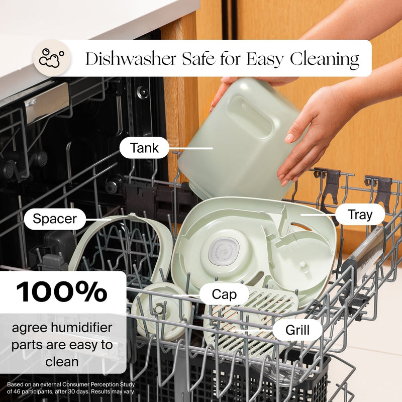 Canopy Bedside Compact Humidifier 2.0 Aroma Diffuser with UV Light and White Noise