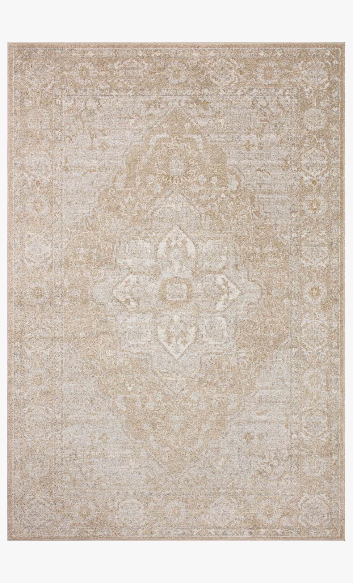 Beige and silver traditional accent rug with ornate center medallion and border, full view