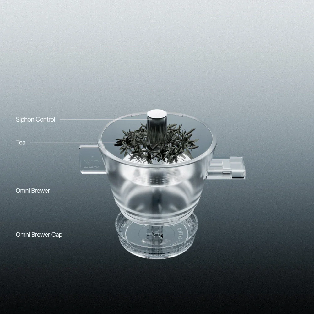Clear Omni tea brewer with tea leaves on upper plate and glass siphon base