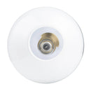 Parrot Uncle Pheobe 1-light Modern Handblown Glass Island Pendant Light (PH101G)