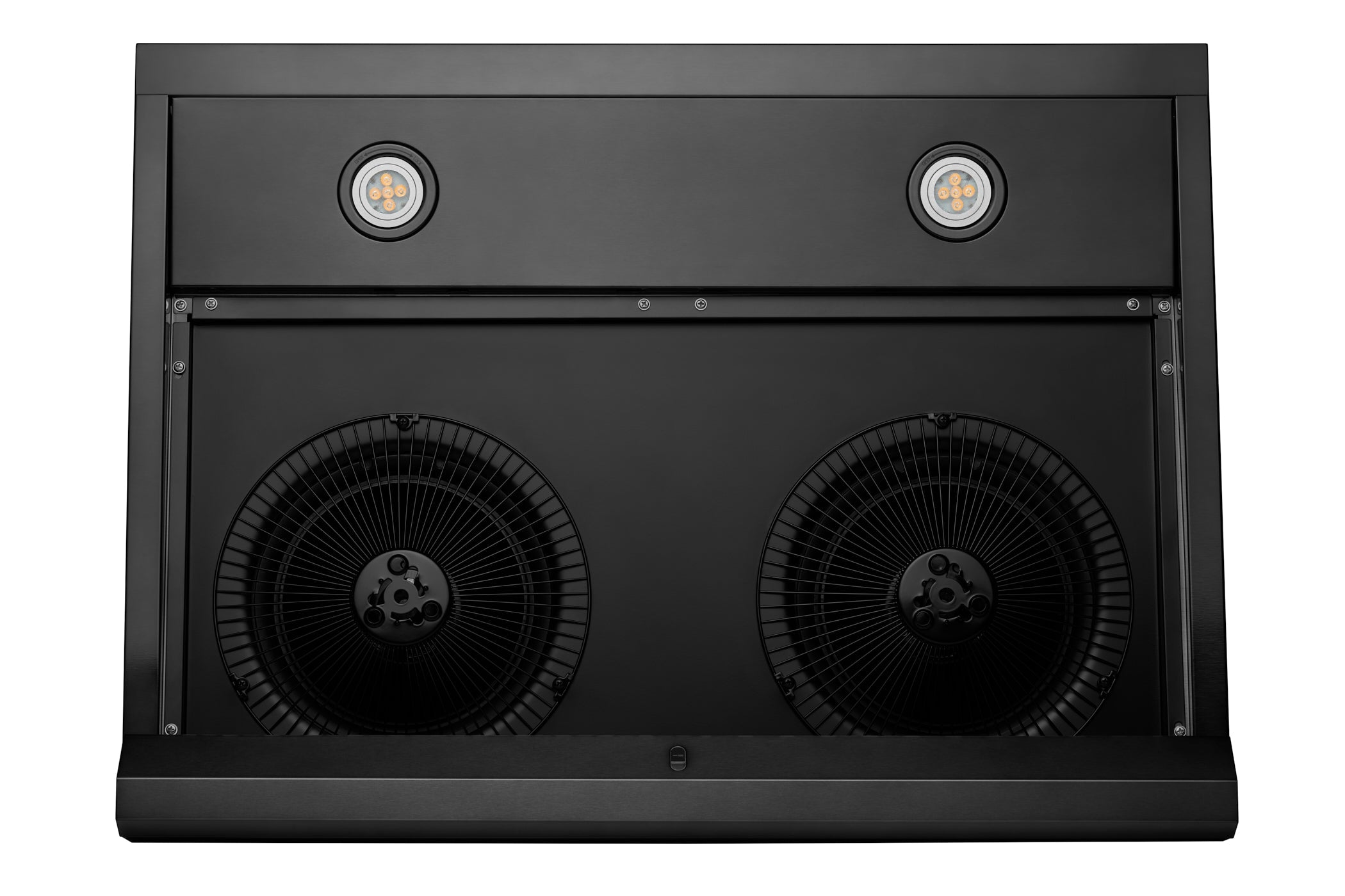 Under-cabinet range hood interior showing two fan housings and filter frame