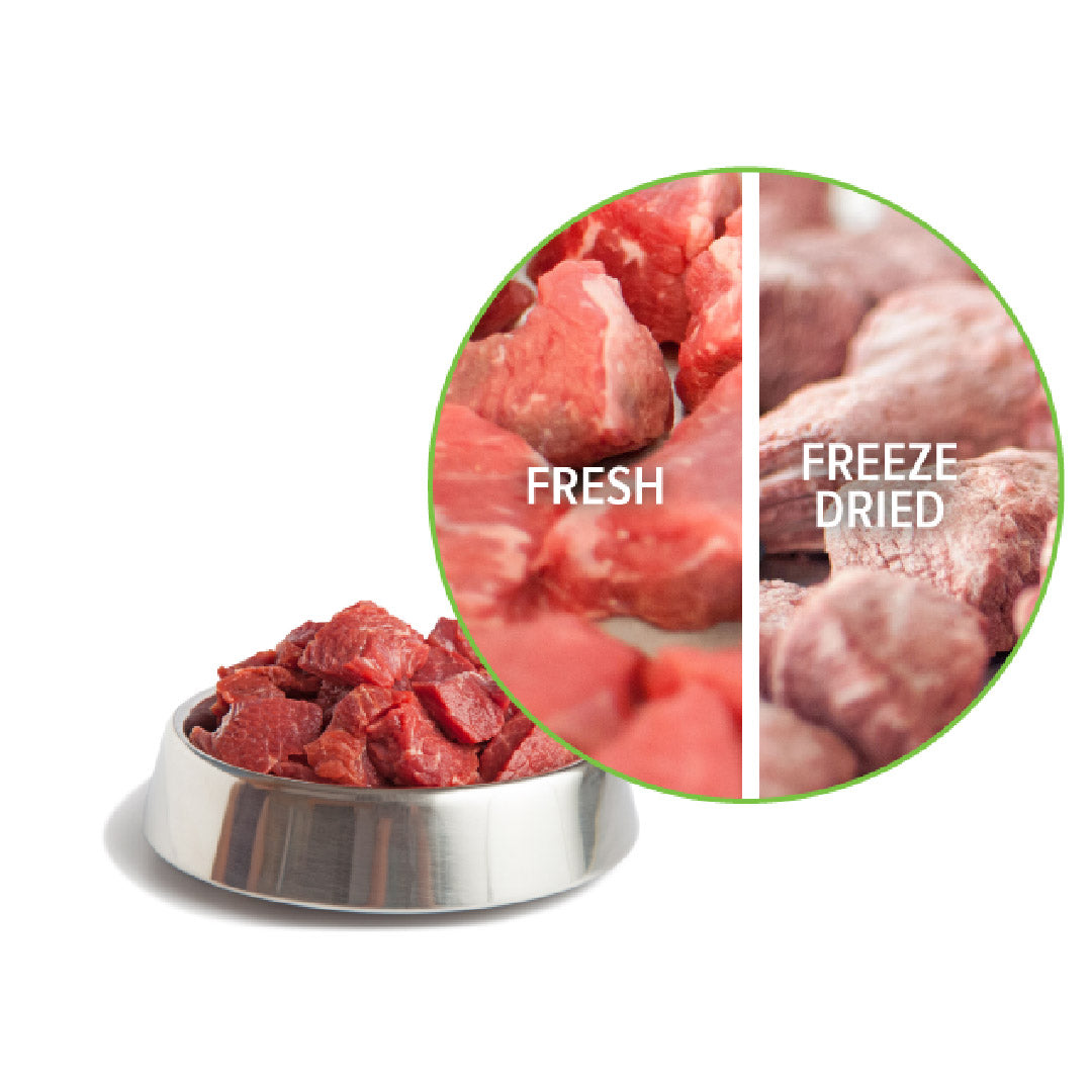 Freeze dryer food in a stainless bowl with fresh vs freeze-dried comparison inset