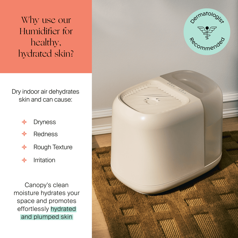 Canopy Large Room Humidifier Aroma Diffuser with UV Light for Large Spaces