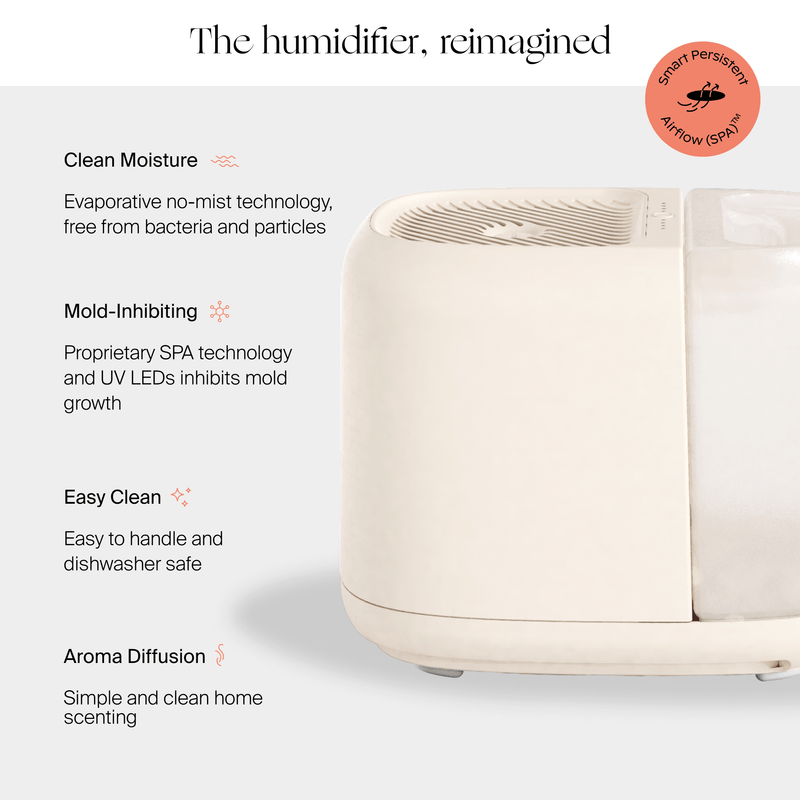 Canopy Large Room Humidifier Aroma Diffuser with UV Light for Large Spaces