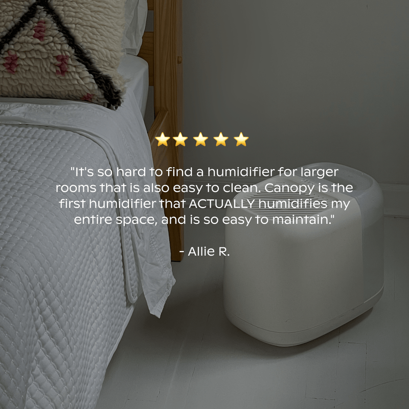 Canopy Large Room Humidifier Aroma Diffuser with UV Light for Large Spaces