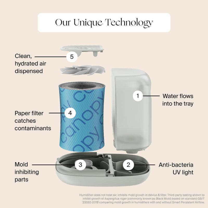 Canopy Large Room Humidifier Aroma Diffuser with UV Light for Large Spaces