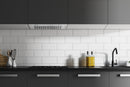 Hauslane 450 CFM Convertible Built-In Range Hood Insert with Stainless Steel Filters (IN-R100)