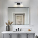 Parrot Uncle Radiance Modern 2-Light Dimmable Vanity Light