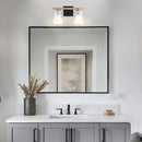Parrot Uncle Radiance Modern 2-Light Dimmable Vanity Light