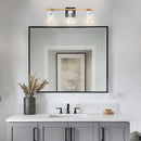 Parrot Uncle Radiance Modern 3-Light Dimmable Vanity Light