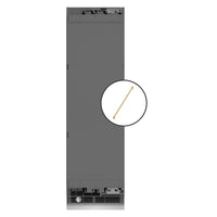 ZLINE Autograph Edition 24-Inch 12.5 Cu. Ft. Panel Ready Column Refrigerator with Graphite Gray Interior and Polished Gold Accents (RBCRVZ-24-G)