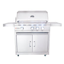 Renaissance Cutlass Pro 30-Inch Propane Gas Grill w/ Rear Burner, Briquette Trays & Blue LED Lights w/ Cart & Gas Connection (RON30B LP CK)