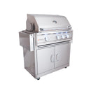 Renaissance Cutlass Pro 30-Inch Propane Gas Grill w/ Rear Burner, Briquette Trays & Blue LED Lights w/ Cart & Gas Connection (RON30B LP CK)