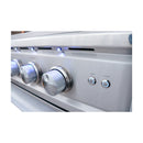 Renaissance Cutlass Pro 38-Inch Propane Gas Grill w/ Rear Burner, Briquette Trays & Blue LED Lights (RON38B LP CK)
