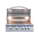 Renaissance Premier 32-Inch Natural Gas Grill in Stainless Steel with Blue LED & Rear Burner (RJC32AL)