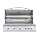 Renaissance Premier 40-Inch Propane Gas Grill w/ Blue LED & Rear Burner (RJC40AL LP)