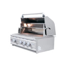 Renaissance Cutlass Pro 30-Inch Propane Gas Grill w/ Rear Burner, Briquette Trays & Blue LED Lights (RON30B LP)