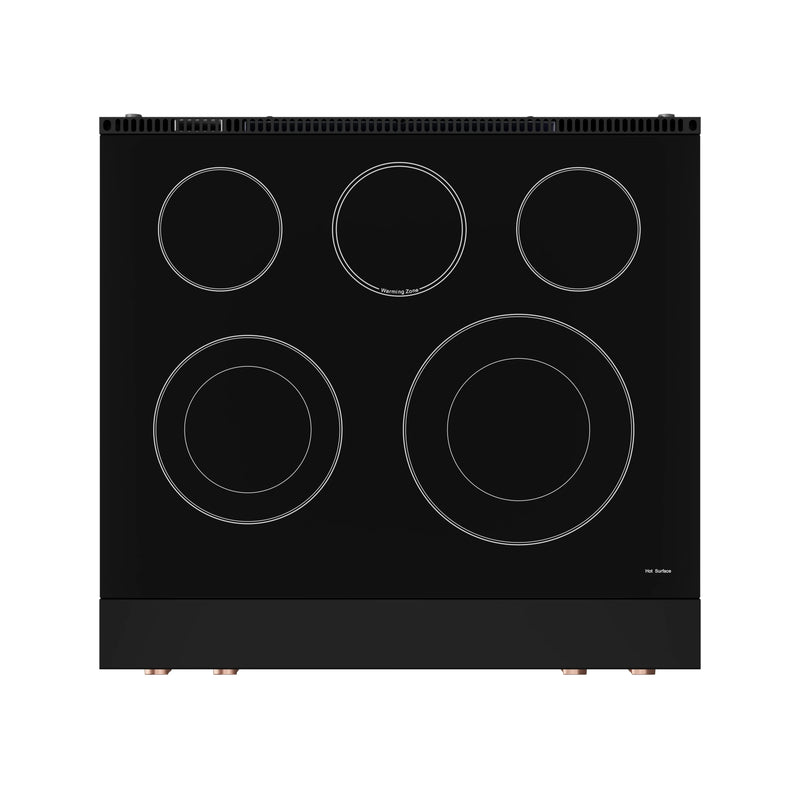 Thor Kitchen Gordon Ramsay Series 30-Inch Professional Electric Range with Tilt Panel Touch Control in Black with Rose Gold Trim (RSE30B-RSG)