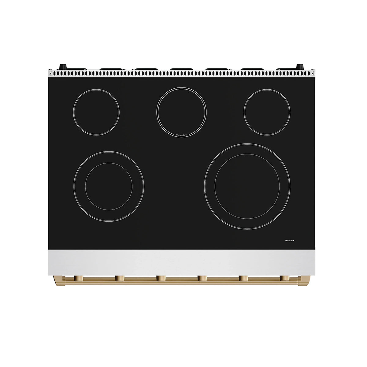 Stainless electric range cooktop with black glass surface and five circular burner zones