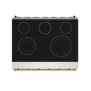 36-inch electric range cooktop, black glass with six burner circles and bronze trim bar