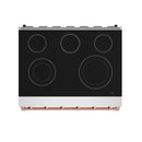 Gordon Ramsay by Thor Kitchen 36-inch Professional Electric Range in Stainless Steel with Rose Gold Trim (RSE36P-RSG)