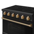 Black electric cooktop range with bronze control knobs and long bronze oven handle