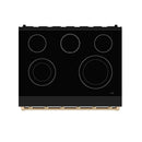 Black electric cooktop with five round burner elements and bronze accents at base