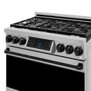 Stainless steel 36-inch professional gas range with black grates and tilt control panel