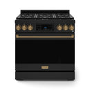 Front view of a black gas range with bronze trim, brass knobs, and glass oven door