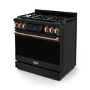 Gordon Ramsay by Thor Kitchen 3-Piece Appliance Package - 36-Inch Gas Range with Tilt Panel, 36-Inch Refrigerator, and Dishwasher in Black with Rose Gold Trim