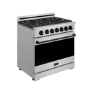 Stainless steel professional gas range with black oven door window and control knobs