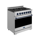 Stainless steel natural gas range with blue trim, burner grates, and knob control panel