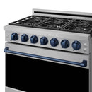 Stainless steel propane gas range with blue trim, top burners and row of blue control knobs