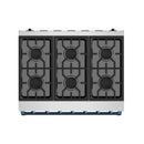 Stainless steel burner grates for propane gas range with blue trim detail along the front