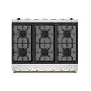 Stainless gas range burner grates with three sets of black cast-iron burner circles