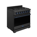 Black gas range with blue control panel trim, closed oven door and side panels