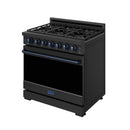 Black gas range with blue trim accent and control knobs above closed oven door