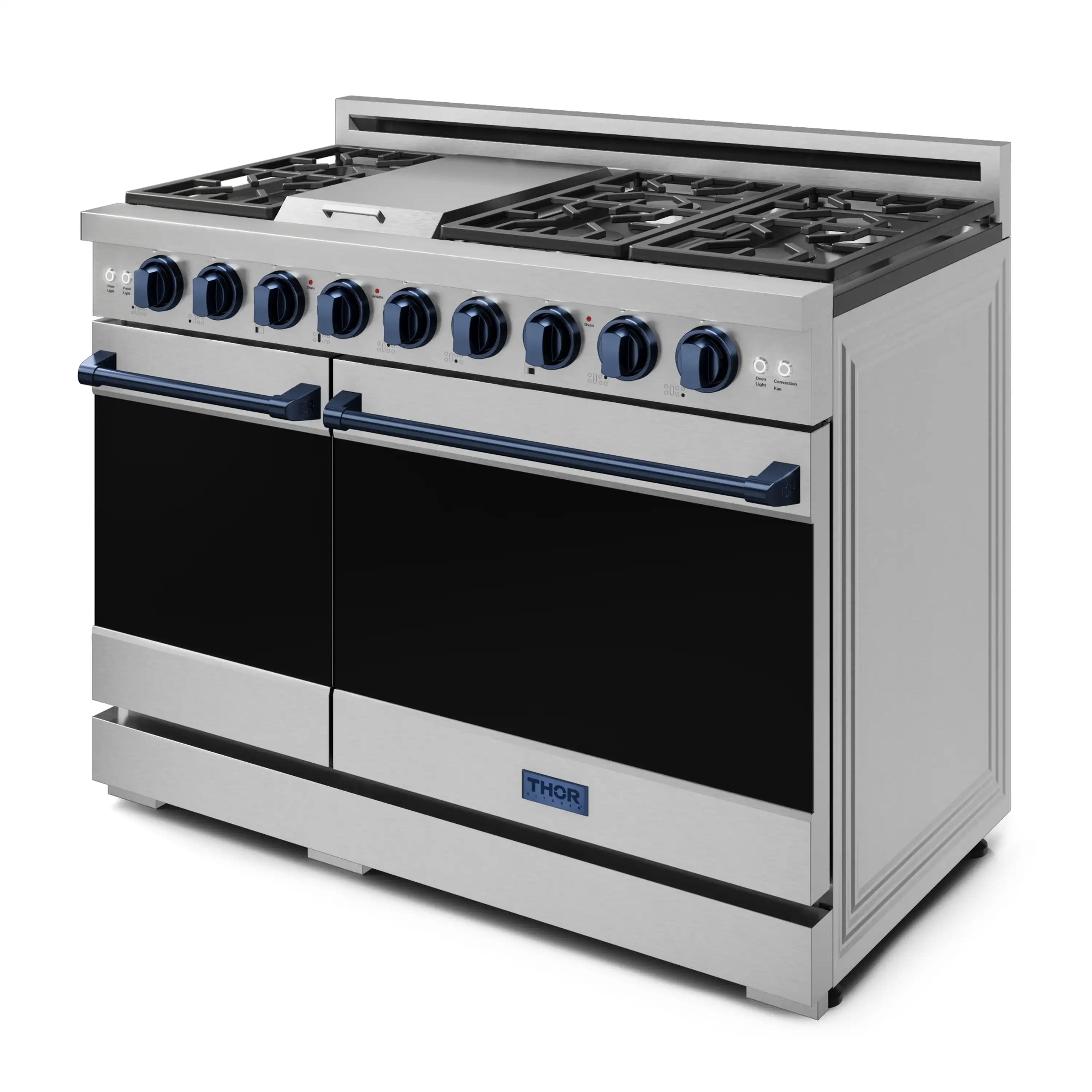 Stainless steel dual-oven gas range in three-quarter view with blue bar handles
