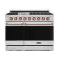 Gordon Ramsay by Thor Kitchen 48-Inch Professional Natural Gas Range with Pro-Style Knobs and 6.8 Cu. Ft. Double Oven in Stainless Steel with Rose Gold Trim (RSG48E-RSG)