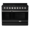 Thor Kitchen Gordon Ramsay Series 48-Inch Professional Gas Range with Double Oven in Black with Stainless Steel Trim (RSG48EB-SS)