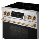 Stainless steel induction range front close-up with bronze knobs, touch display, and handle