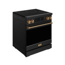 Black induction range with bronze trim, side view and oven door handle