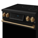 Black induction range control panel with bronze knobs and gold-colored handle