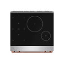Stainless steel induction cooktop with two burner zones and minimal knob-free controls
