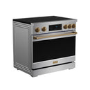 Stainless steel induction range with black cooktop, bronze knobs, and side panel detailing