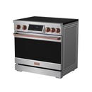 Stainless induction range with black glass cooktop, rose-gold knobs, and oven door